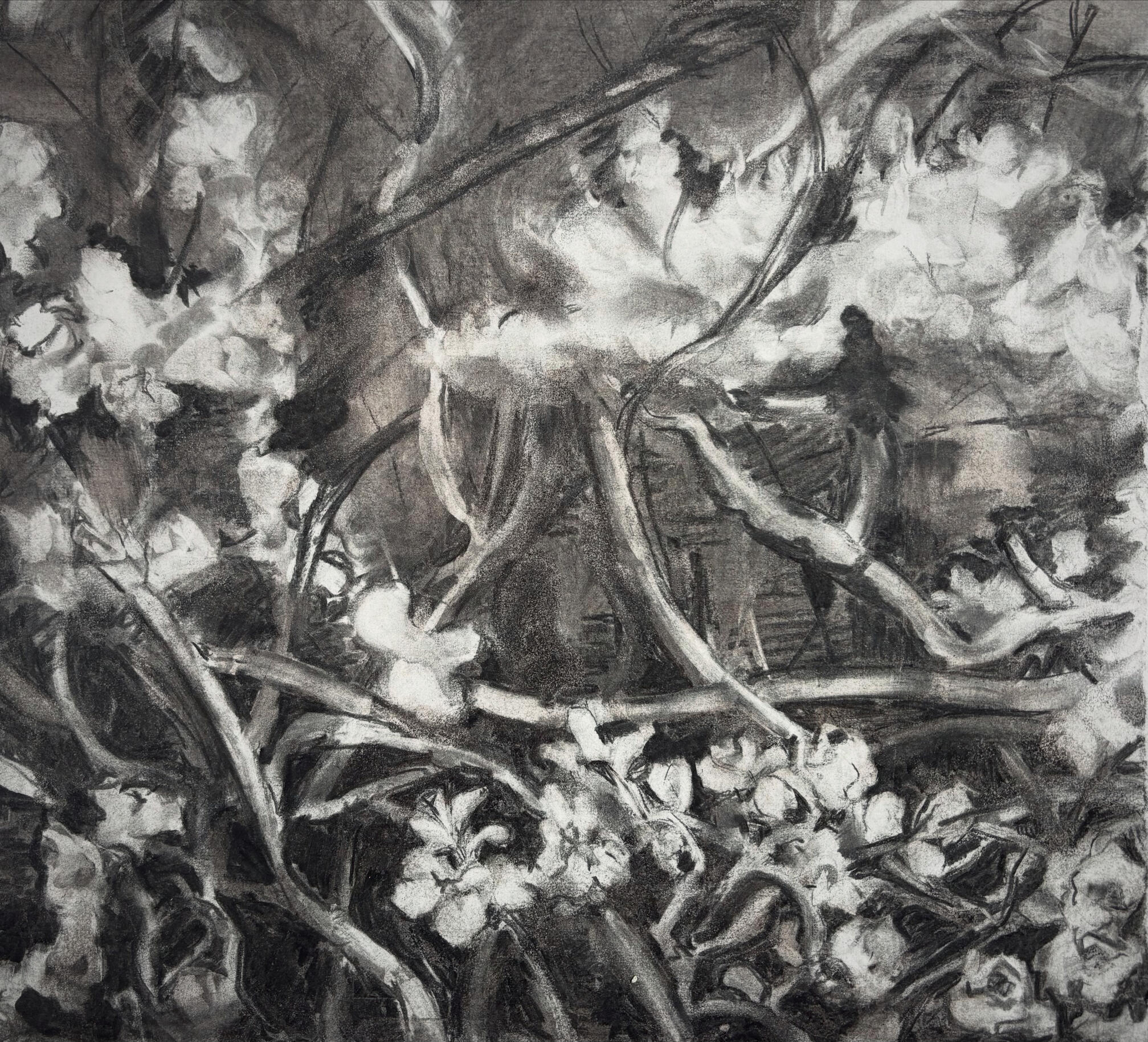 Untitled Untitled